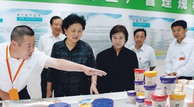 原中共中央政治局委員、國務院副總理劉延東視察我公司